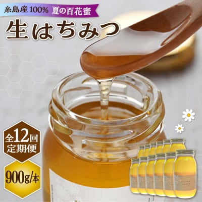 【全12回定期便】採れたて生はちみつ(夏の百花蜜900g)糸島二丈サクランボ農園[AKJ016]