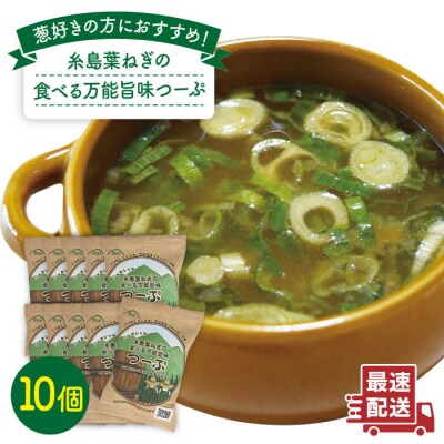 糸島 葉ねぎの食べる 万能 旨味つーぷ 10個 《糸島》 【Carna】 [ALA019]