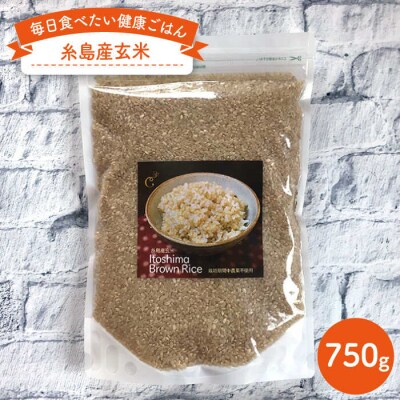 糸島産 玄米 750g 《糸島》 【Carna】 [ALA022]