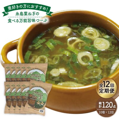 【全12回定期便】糸島 葉ねぎの食べる 万能旨味つーぷ10個《糸島》【Carna】[ALA037]