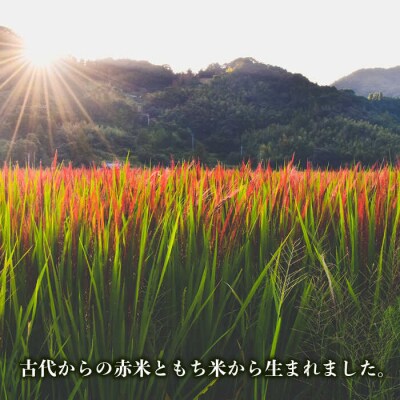 糸島産赤米(5分づき) 糸島市/Carna [ALA053] 雑穀米 雑穀