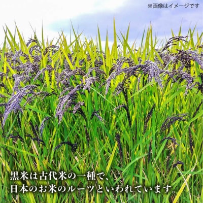 十穀米 糸島市/Carna [ALA055] 雑穀米 雑穀
