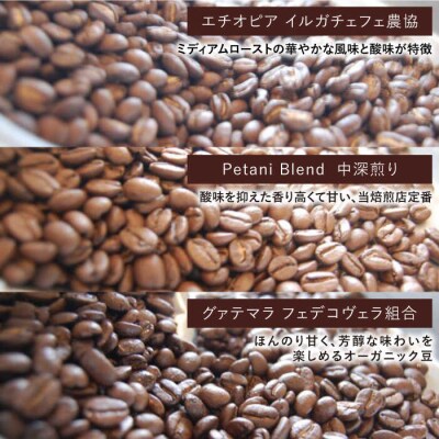 【全12回定期便】ギフト缶×2+選べるドリップパック5袋Petani coffee [ALC015]