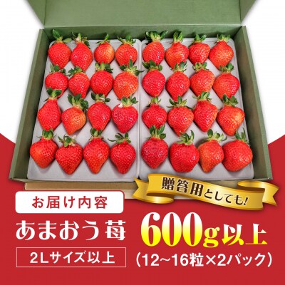 あまおういちご600g以上フルコンス[ALO001]