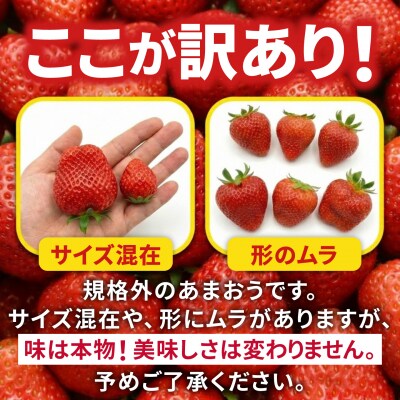 【訳あり】あまおう 270g×4パック(1.08kg) [ALO003]