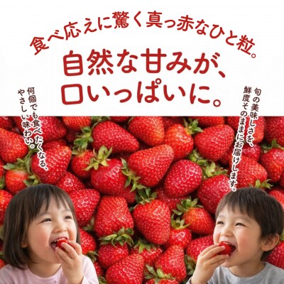 【訳あり】あまおう 270g×4パック(1.08kg) [ALO003]