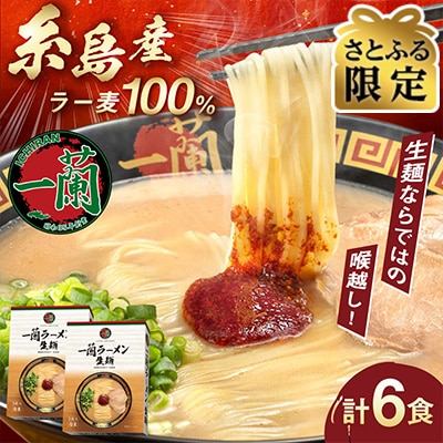 【さとふる限定】一蘭ラーメン 生麺セット 計6食入 糸島市/一蘭 [AMB014]