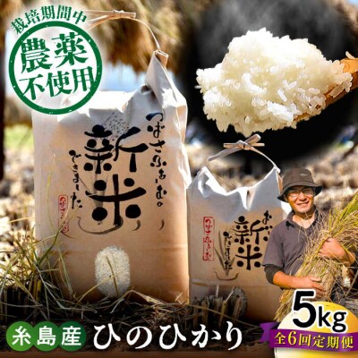 【全6回定期便】 糸島産 雷山のふもとの米 5kg [ANI004] 白米 玄米