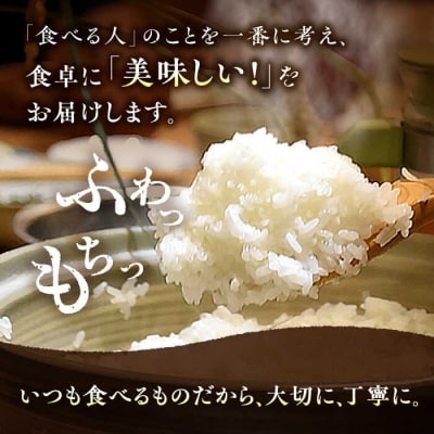 【全6回定期便】 糸島産 雷山のふもとの米 5kg [ANI004] 白米 玄米