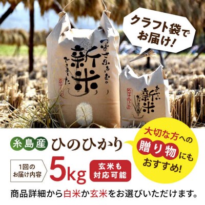 【全6回定期便】 糸島産 雷山のふもとの米 5kg [ANI004] 白米 玄米