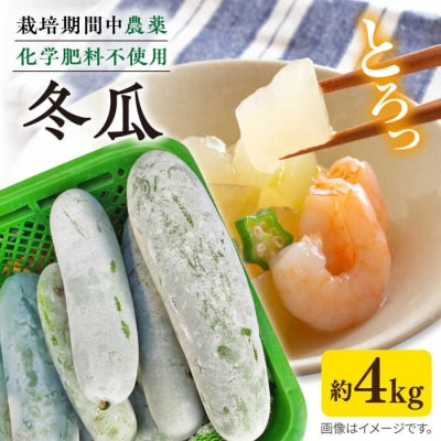糸島産 冬瓜 約4kg 糸島市/食と健康のブリッジベース 野菜 冬瓜スープ [ANN002]