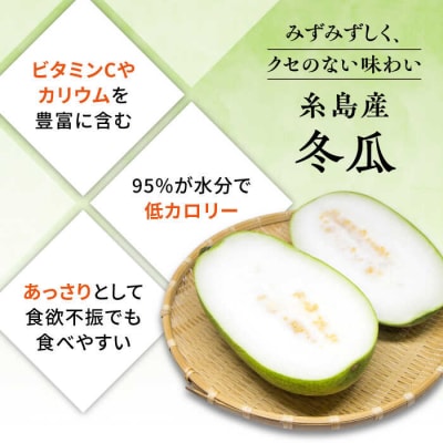 糸島産 冬瓜 約4kg 糸島市/食と健康のブリッジベース 野菜 冬瓜スープ [ANN002]