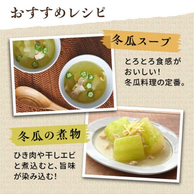 糸島産 冬瓜 約4kg 糸島市/食と健康のブリッジベース 野菜 冬瓜スープ [ANN002]