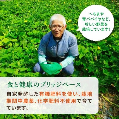 糸島産 冬瓜 約4kg 糸島市/食と健康のブリッジベース 野菜 冬瓜スープ [ANN002]