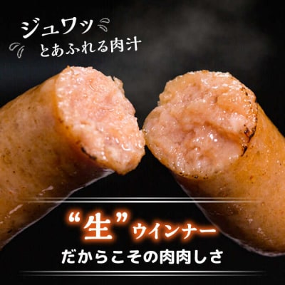【全3回定期便】特製 生ハンバーグ 生ハム 生ウインナー 3種セット[AOA029]