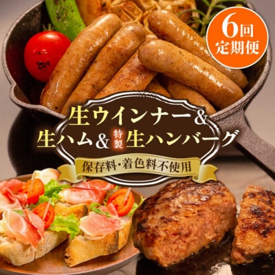 【全6回定期便】特製 生ハンバーグ 生ハム 生ウインナー 3種セット[AOA030]