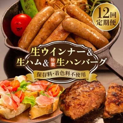 【全12回定期便】特製 生ハンバーグ 生ハム 生ウインナー 3種セット[AOA031]