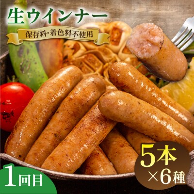【全3回定期便】 ウインナー/ハンバーグ/ハム 月替りセット 志摩スモークハウス[AOA038]