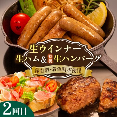 【全3回定期便】 ウインナー/ハンバーグ/ハム 月替りセット 志摩スモークハウス[AOA038]
