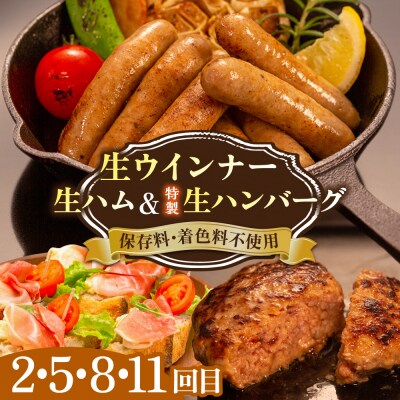 【全12回定期便】 ウインナー/ハンバーグ/ハム 月替りセット 志摩スモークハウス[AOA040]