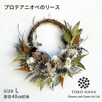 プロテアニオベのリース(Lサイズ)糸島市/tokohana ドライフラワー アレンジ[AOC033]