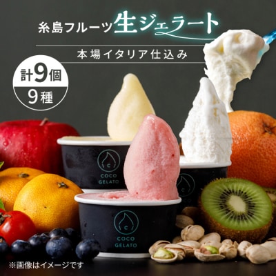 糸島フルーツ 生ジェラート 9個セット 糸島市/COCO GELATO [AON001]