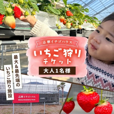 【志摩イチゴハウス】いちご狩りチケット(大人1名様分) 株式会社 糸島農園 [APM001]
