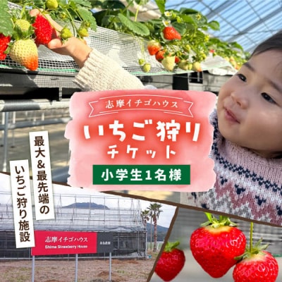 【志摩イチゴハウス】いちご狩りチケット(小学生1名様分) 株式会社 糸島農園 [APM002]