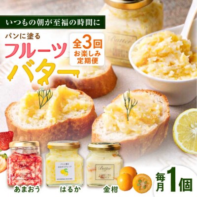 【全3回定期便】お楽しみ定期便フルーツバター大1個 糸島市/糸島正キ[AQA062]