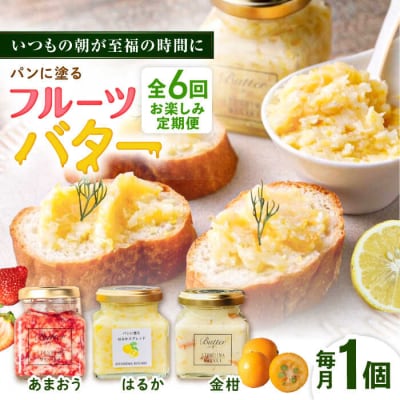 【全6回定期便】お楽しみ定期便フルーツバター大1個 糸島市/糸島正キ[AQA063]