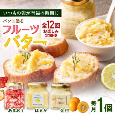 【全12回定期便】お楽しみ定期便フルーツバター大1個 糸島正キ[AQA064]