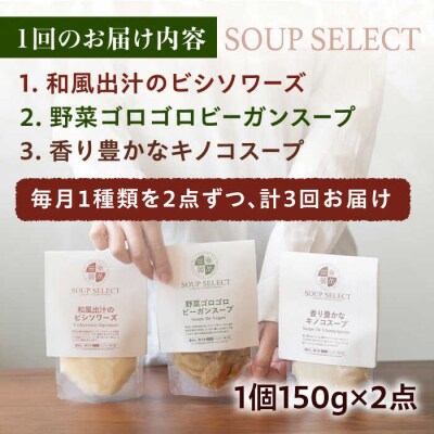 【全3回定期便】SoupSelectスタンドパウチ2点セット糸島正キ[AQA068]