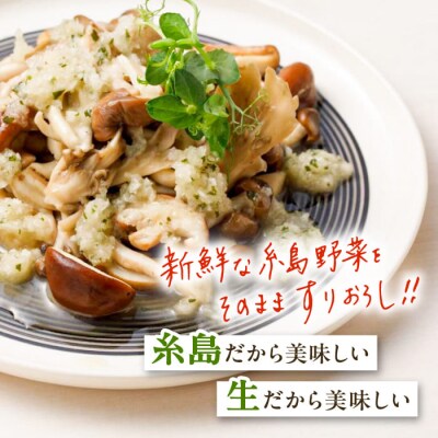 【全6回定期便/2ヶ月に1回】野菜を食べる生ドレッシングおまかせ3本セット 糸島正キ[AQA093]
