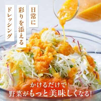 【ご家庭用】糸島野菜を食べる生ドレッシング(人参・玉葱 2本セット)糸島正キ [AQA100]
