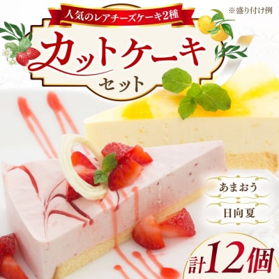 レアチーズケーキ(あまおう/日向夏)ケーキ2種12個 冷凍 糸島市/五洋食品産業[AQD008]