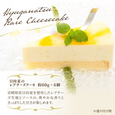 レアチーズケーキ(あまおう/日向夏)ケーキ2種12個 冷凍 糸島市/五洋食品産業[AQD008]