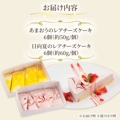 レアチーズケーキ(あまおう/日向夏)ケーキ2種12個 冷凍 糸島市/五洋食品産業[AQD008]