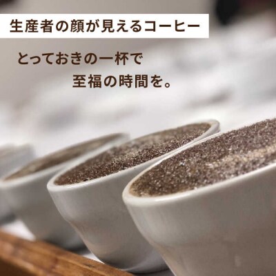 【全12回定期便】コーヒー ドリップ バッグ 40個セット(8種類 × 5個)[AQF020]