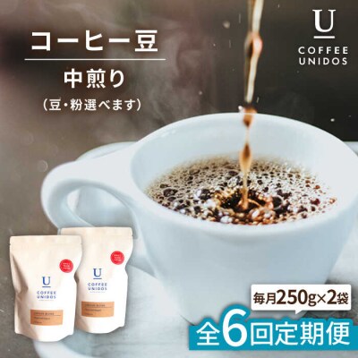 【全6回定期便】中煎りコーヒー 豆 ウニドスブレンド 250g×2袋(豆or粉) [AQF022]