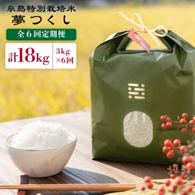 【全6回定期便】糸島特別栽培米3kg夢つくしitoshimacco[ARJ004]