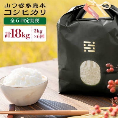 【全6回定期便】糸島で育てた山つき糸島米3kg(コシヒカリ)itoshimacco[ARJ013]