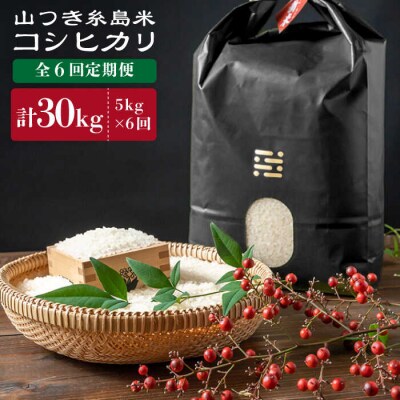 【全6回定期便】糸島で育てた山つき糸島米5kg(コシヒカリ)itoshimacco[ARJ016]