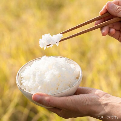 【全3回定期便】糸島特別栽培米3kg夢つくしitoshimacco[ARJ023]