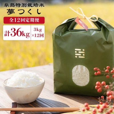 【全12回定期便】とくべつの中のとくべつ糸島特別栽培米3kg夢つくし(株)やました[ARJ024]
