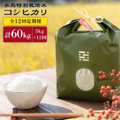 【全12回定期便】とくべつの中のとくべつ糸島特別栽培米5kgコシヒカリ(株)やました[ARJ026]