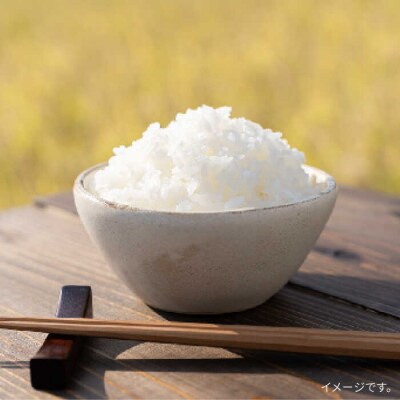 【全3回定期便】糸島で育てた山つき糸島米3kg(コシヒカリ)(株)やました[ARJ029]