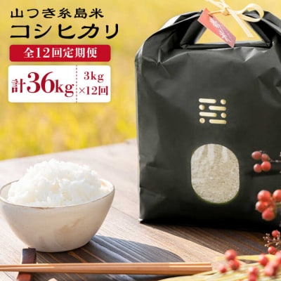 【全12回定期便】糸島で育てた山つき糸島米3kg(コシヒカリ)(株)やました[ARJ030]