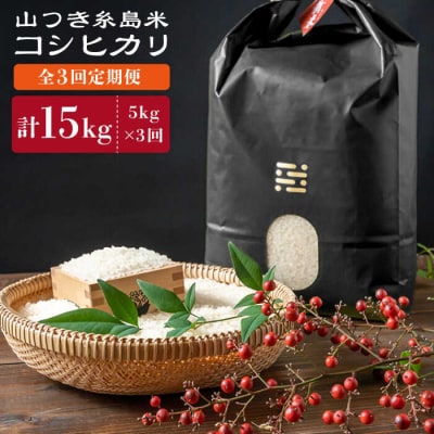 【全3回定期便】糸島で育てた山つき糸島米5kg(コシヒカリ)(株)やました[ARJ035]