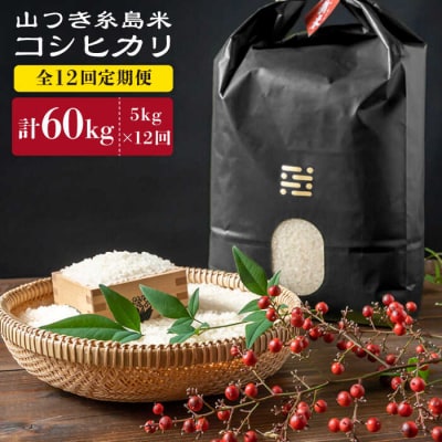 【全12回定期便】糸島で育てた山つき糸島米5kg(コシヒカリ)(株)やました[ARJ036]