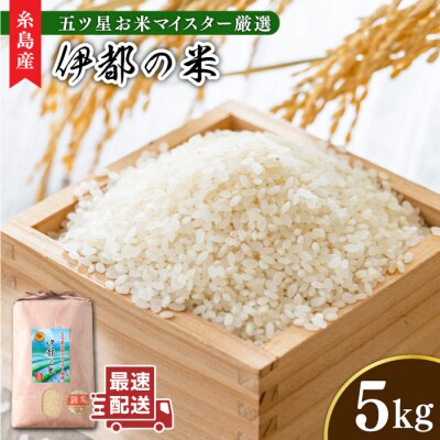 伊都の米 5kg  糸島市/米屋納富 [ARL001] 白米 お米